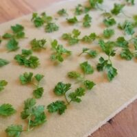 ravioli herbes